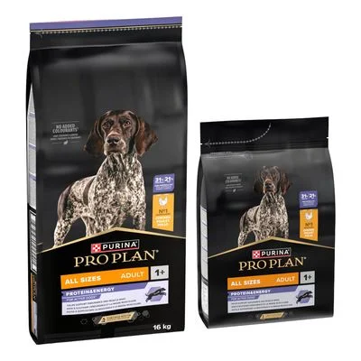16 kg + 3 kg gratis! 19 kg PURINA PRO PLAN All Size Adult Protein & Energy