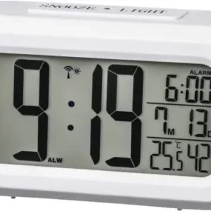 186321 FUNKWECKER RC 660 - Weiss - HaustierPro