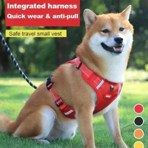 50% Rabatt | DogGrip™ - Führen Sie Ihren Hund risikofrei spazieren mit 60 Kautabletten - HaustierPro