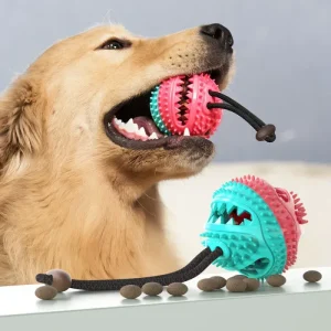 50% Rabatt | PupTug™ Das Spielzeug für jedes Haustier mit versteckten Leckerlis - HaustierPro
