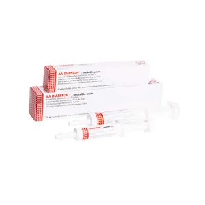 AA Diarstop - Paste