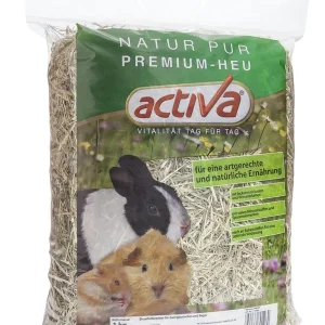 activa CLASSIC Premium Heu Natur Pur 1kg | DAS FUTTERHAUS