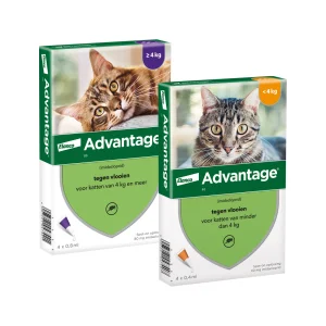 Advantage Katze