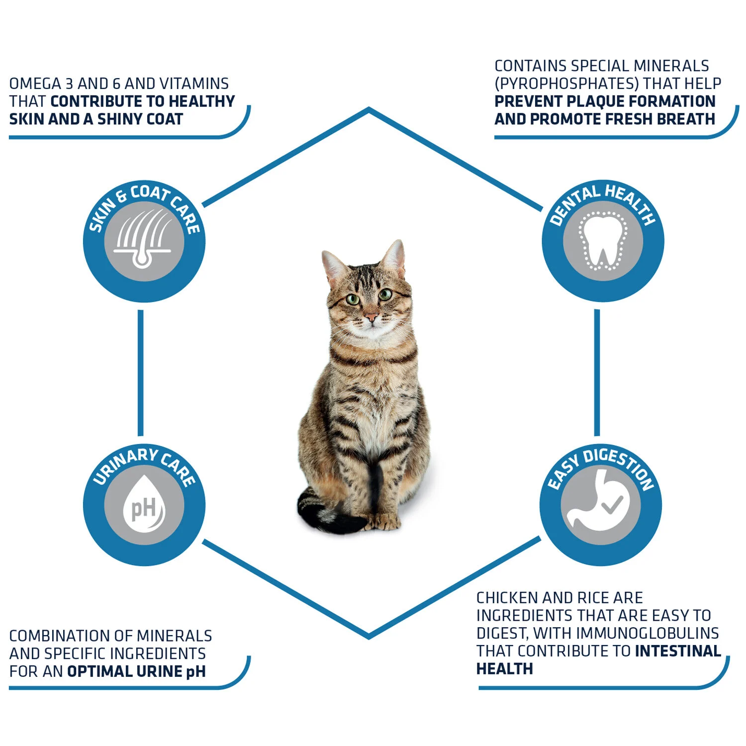 Affinity Advance Adult Huhn & Reis - Katze - Image 2