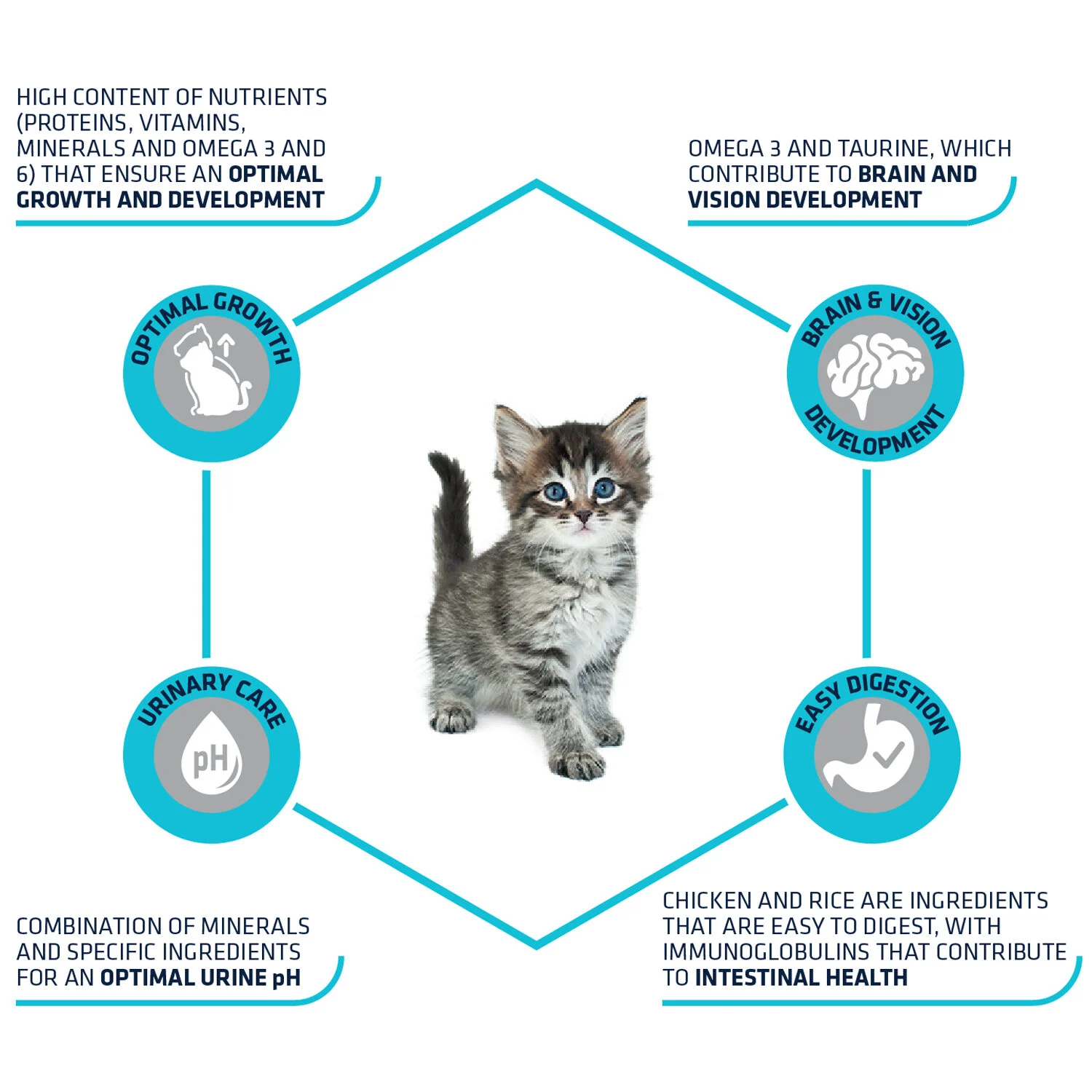 Affinity Advance Kitten Huhn und Reis - Image 2