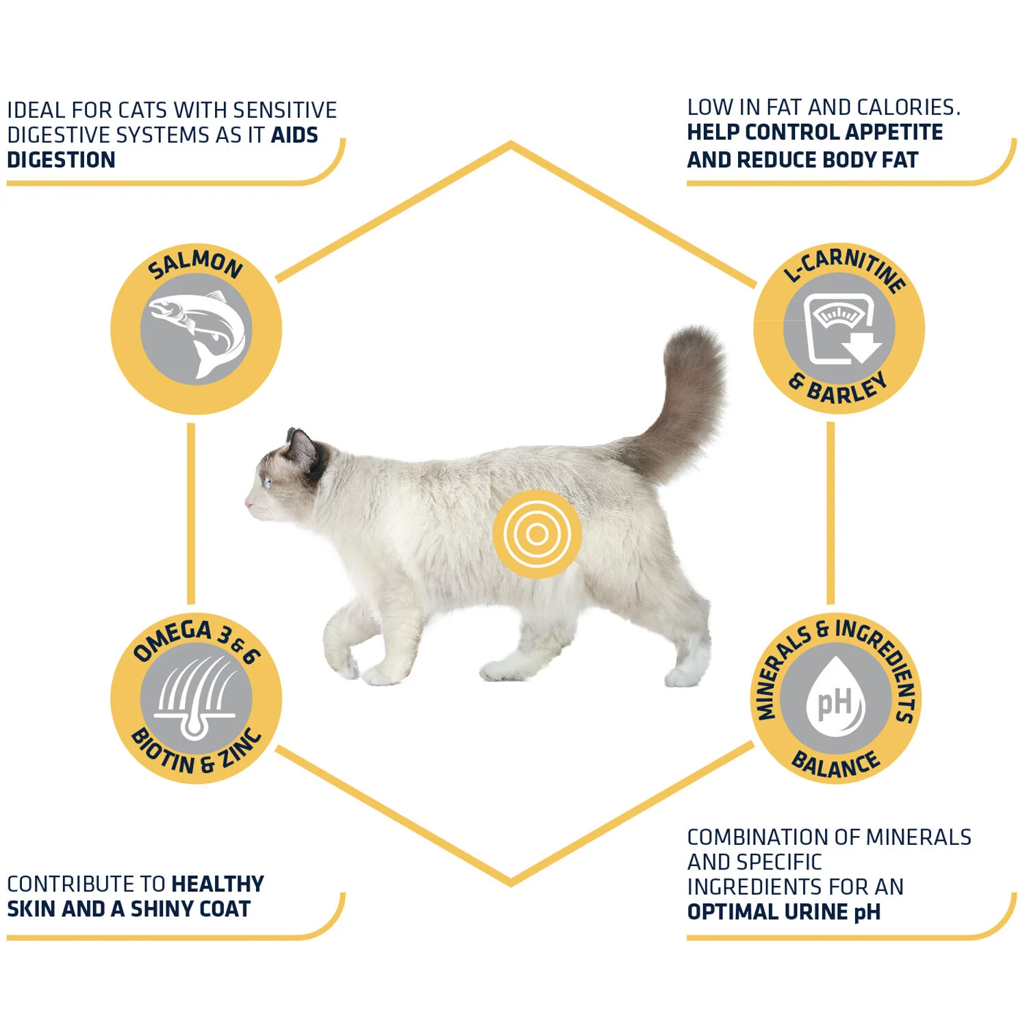 Affinity Advance Sterilized Salmon Sensitive - Katze - Image 2