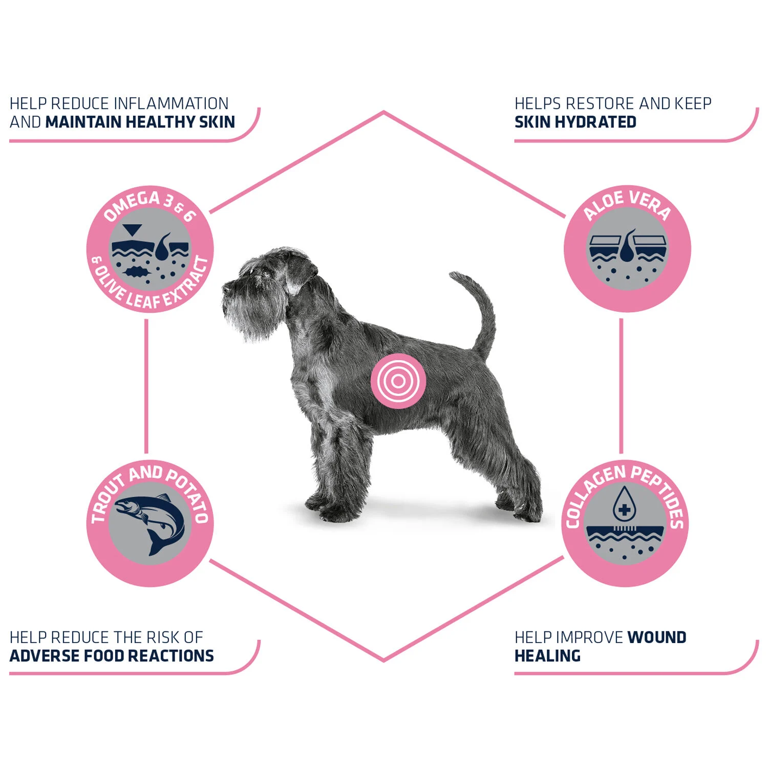 Affinity Advance Veterinary Diets Atopic Hund - Image 2
