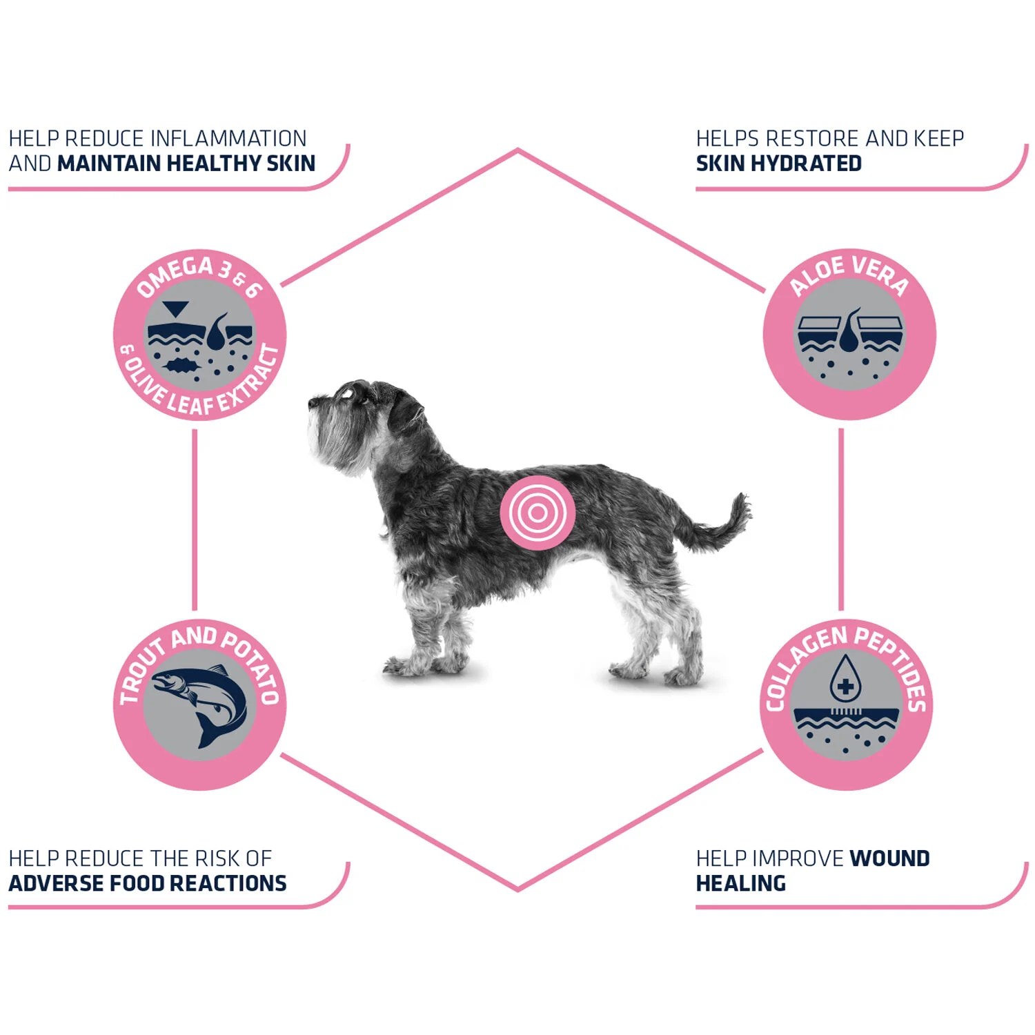 Affinity Advance Veterinary Diets Atopic Mini Hund - Image 2
