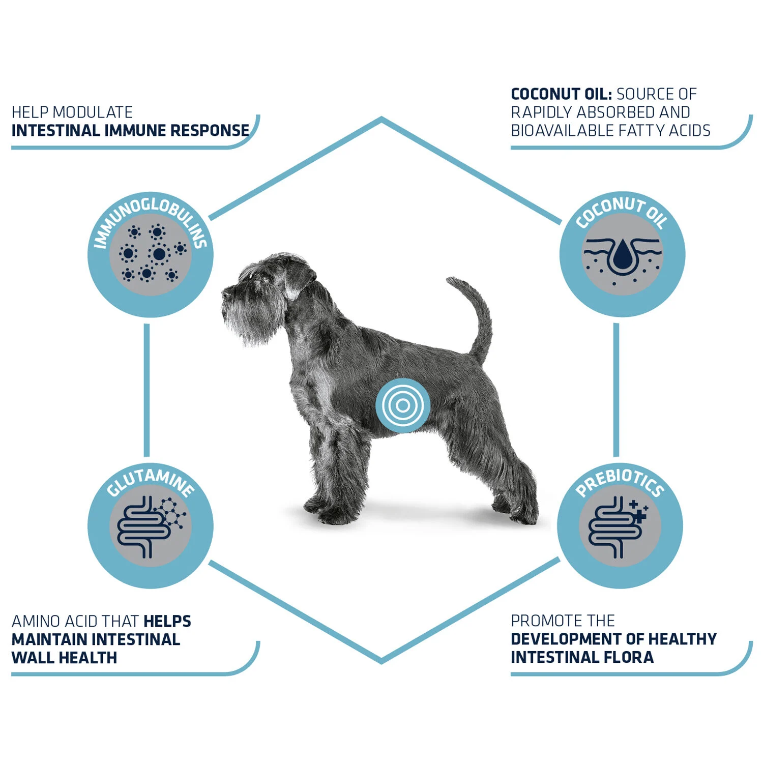 Affinity Advance Veterinary Diets Gastroenteric Hund - Image 2