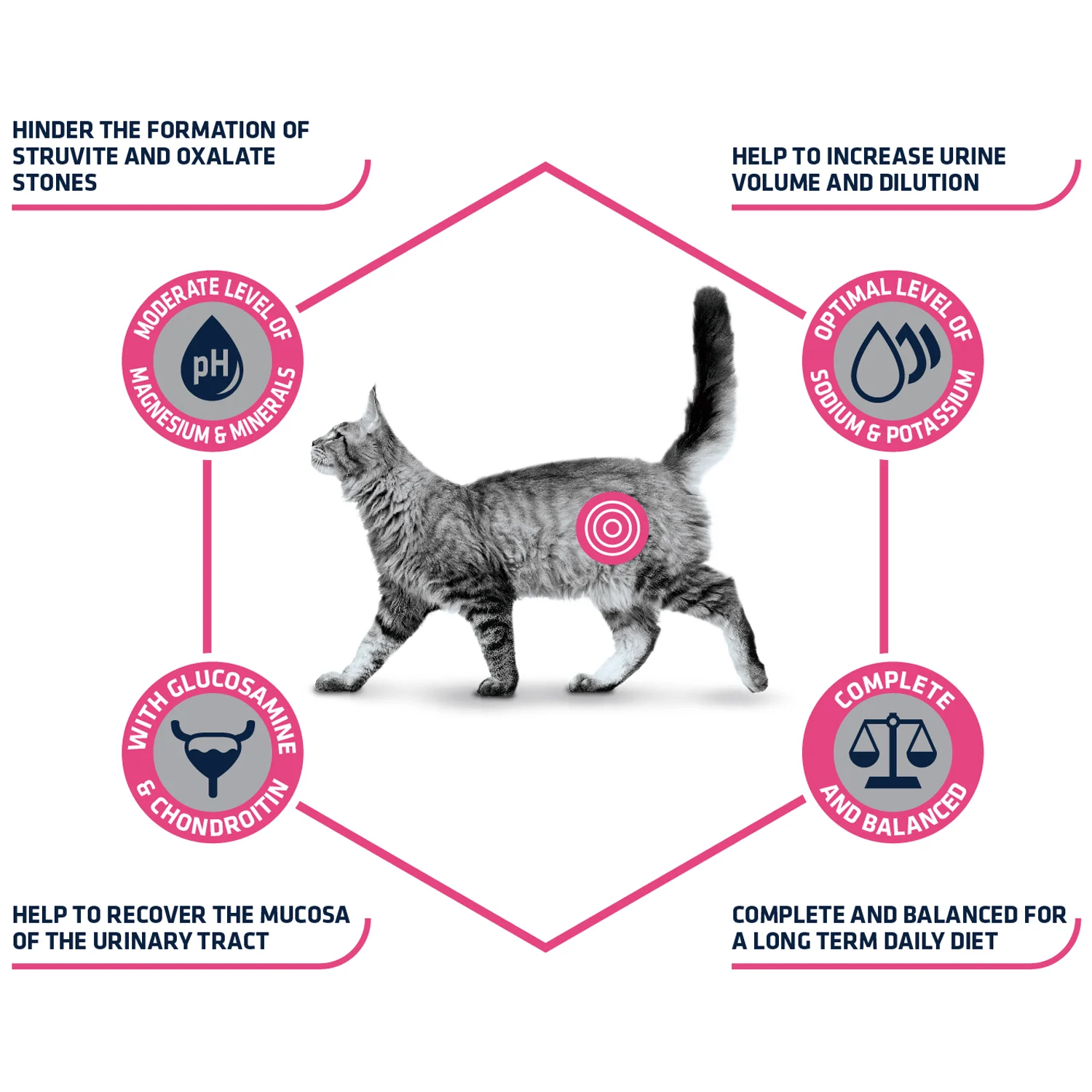 Affinity Advance Veterinary Diets Urinary Katze - Image 2