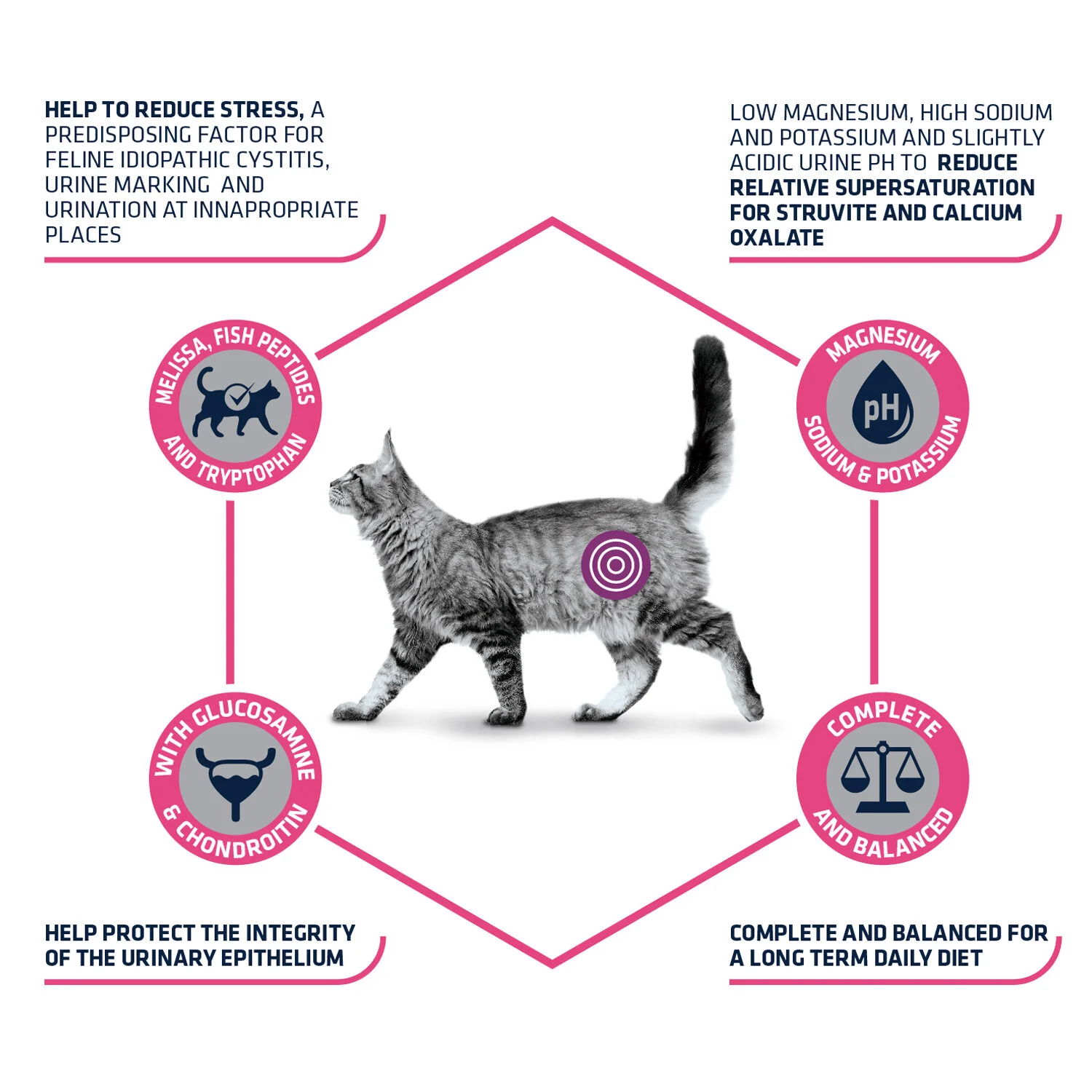 Affinity Advance Veterinary Diets Urinary Stress Katze - Image 2
