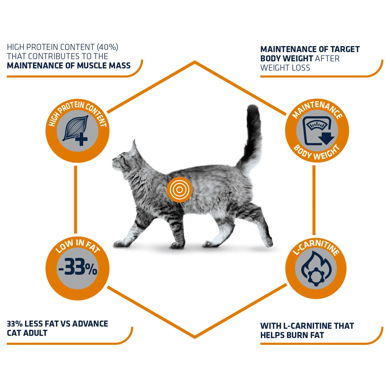 Affinity Advance Veterinary Diets Weight Balance Katze - Image 2
