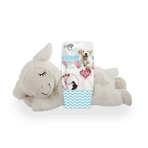 AFP Little Buddy | Welpen Kätzchen