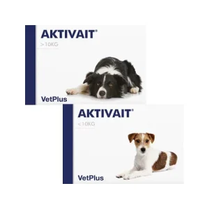Aktivait | Demenz