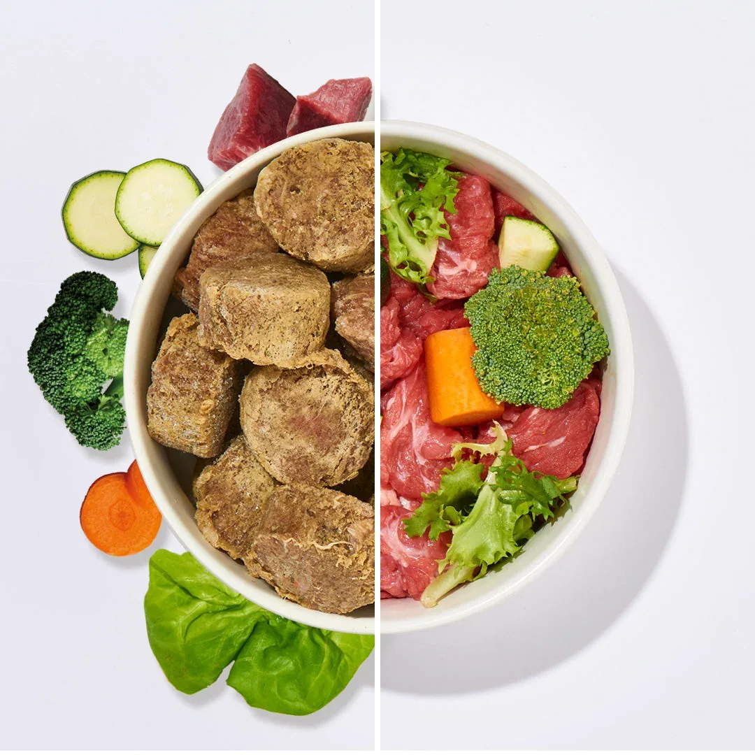 All-in-One Nuggets Pferd - Image 2