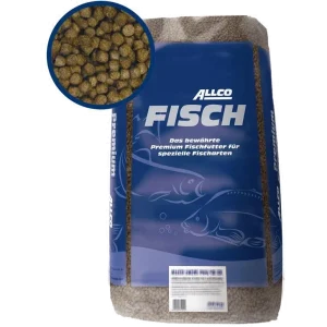 Allco Forelle schwimmend
