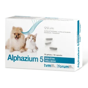 Alphazium 5 | Verhalten & Stress