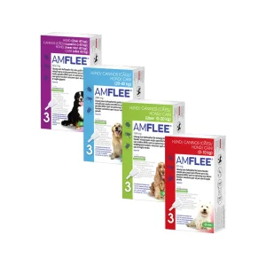 Amflee Spot-on für Hunde