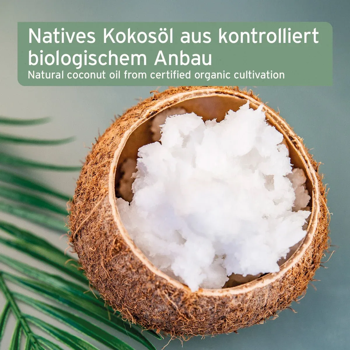AniForte Bio Kokosöl - Image 2