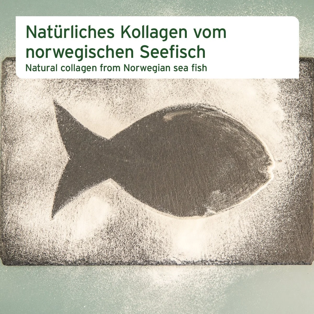 AniForte Kollagen Pulver - Image 2