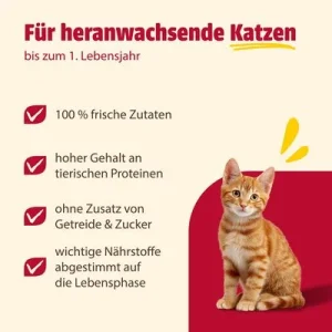 animonda Carny Kitten 12 x 400 g