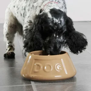 Antikipp-Keramiknapf für Haustiere Cane Mason Cash - HaustierPro