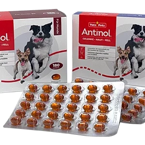 Antinol für Hunde 180 Kapseln