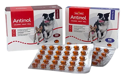 Antinol für Hunde 60 Kapseln