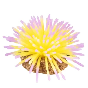 AQUA DELLA Anemone gelb | DAS FUTTERHAUS
