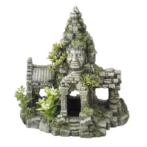 AQUA DELLA Angkor Wat | DAS FUTTERHAUS