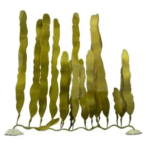 Aqua Della Plastikpflanze Caulerpa S