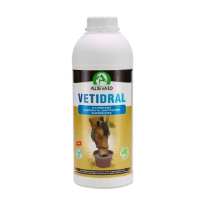 Audevard Vetidral | Pferd