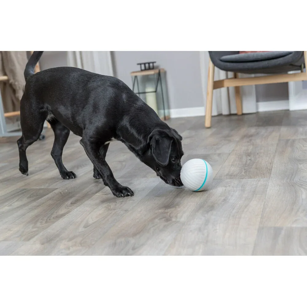 Aufschraubbarer Snackball - Image 2
