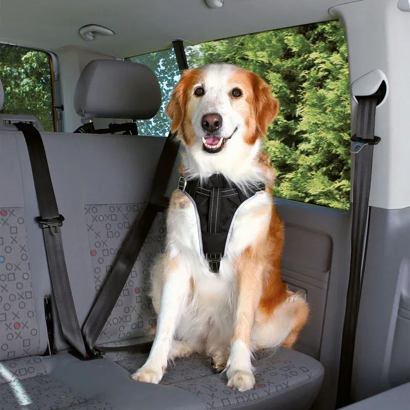 Auto Hundegeschirr Dog Protect - Image 2