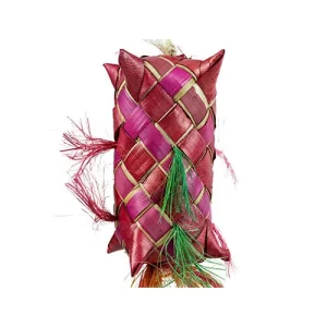 Back Zoo Nature Carnival Piñata