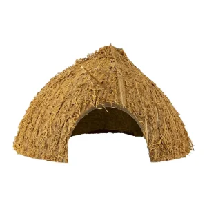 Back Zoo Nature Coco Hiding Cave
