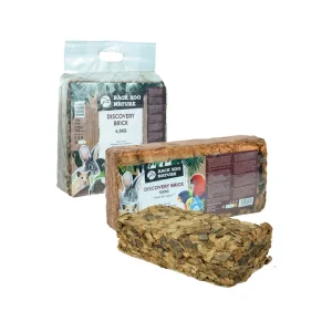 Back Zoo Nature Discovery Bricks