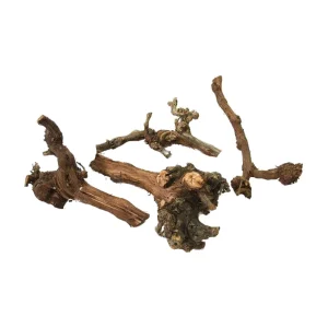 Back Zoo Nature Grapevine Globet