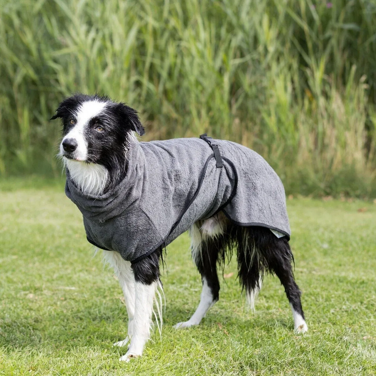 Bademantel für Hunde - Image 2