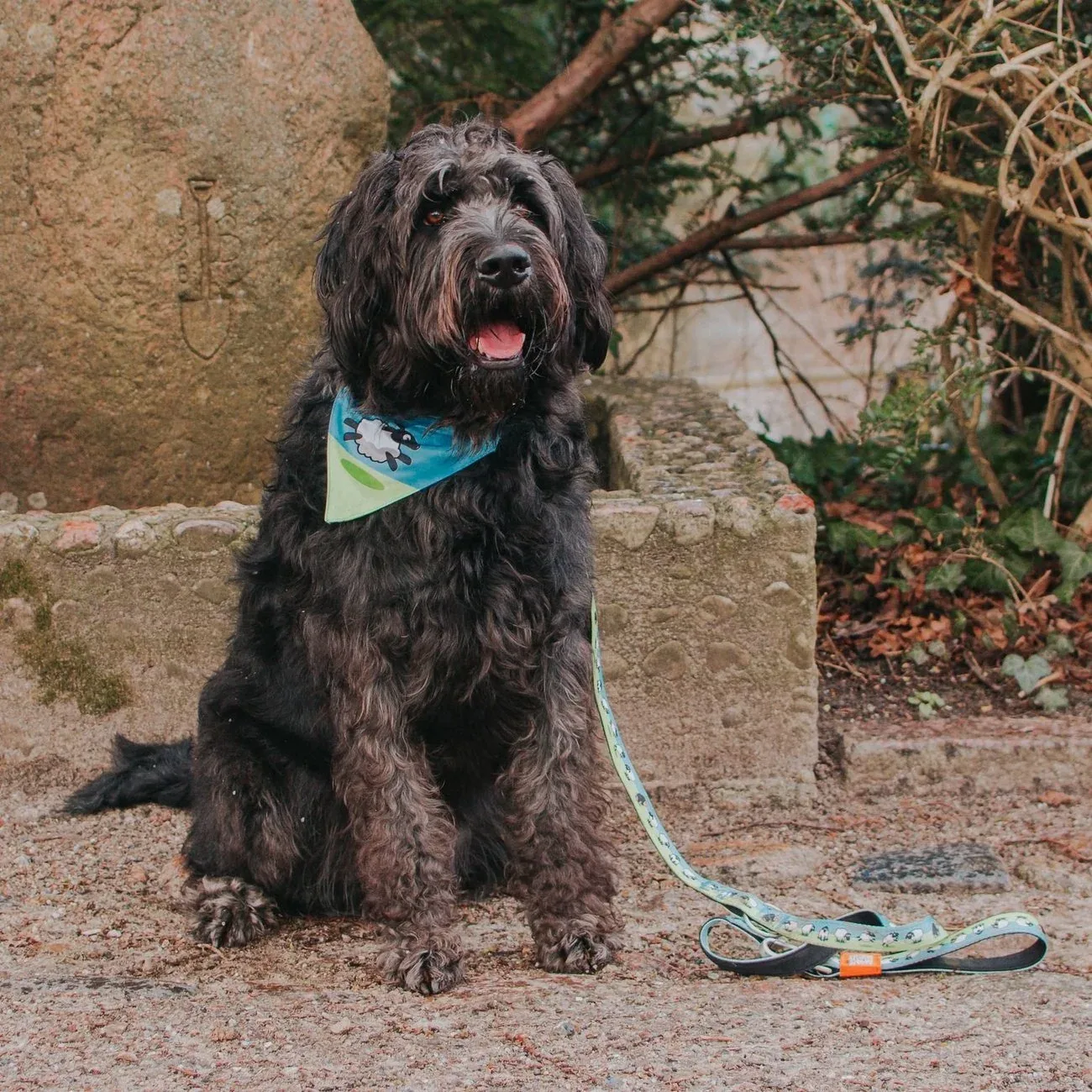 Bandana Black Sheep - Image 2