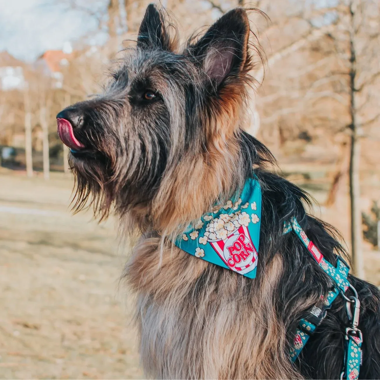 Bandana Popcorn - Image 2