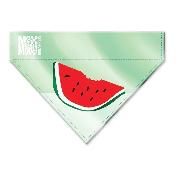 Bandana Watermelon - Image 2