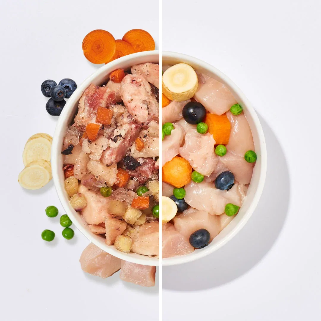 BARF Gourmet PLUS Huhn - Image 2