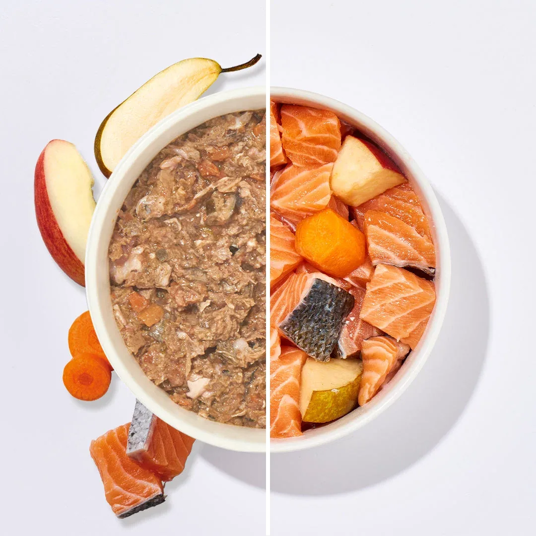 BARF Komfort PLUS Lachs - Image 2