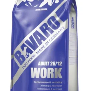 Bavaro Work 26/12