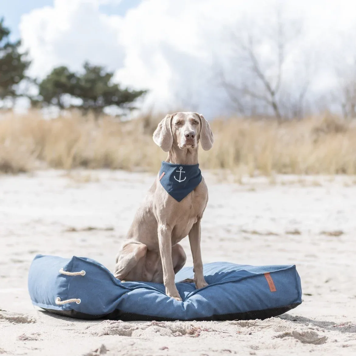 Be Nordic Hunde Halstuch - Image 2
