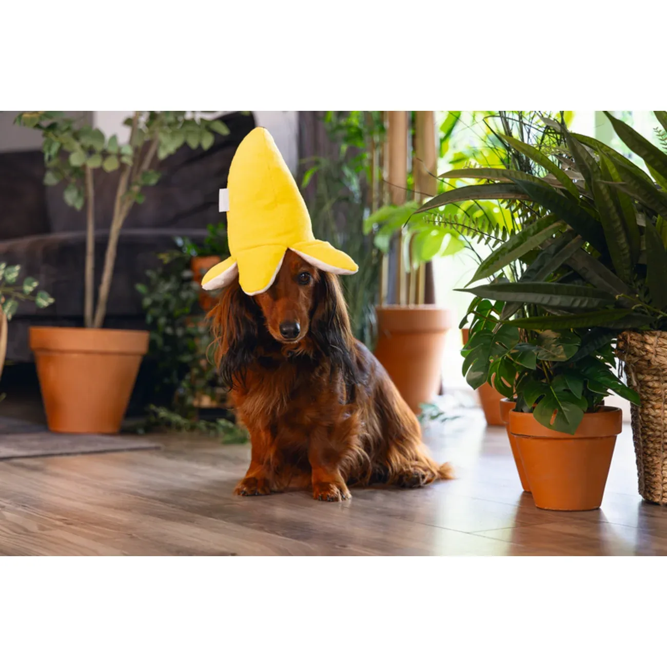 Beesztess 2 in 1 Plüschspielzeug Dschungel Biba für Hunde - Image 2