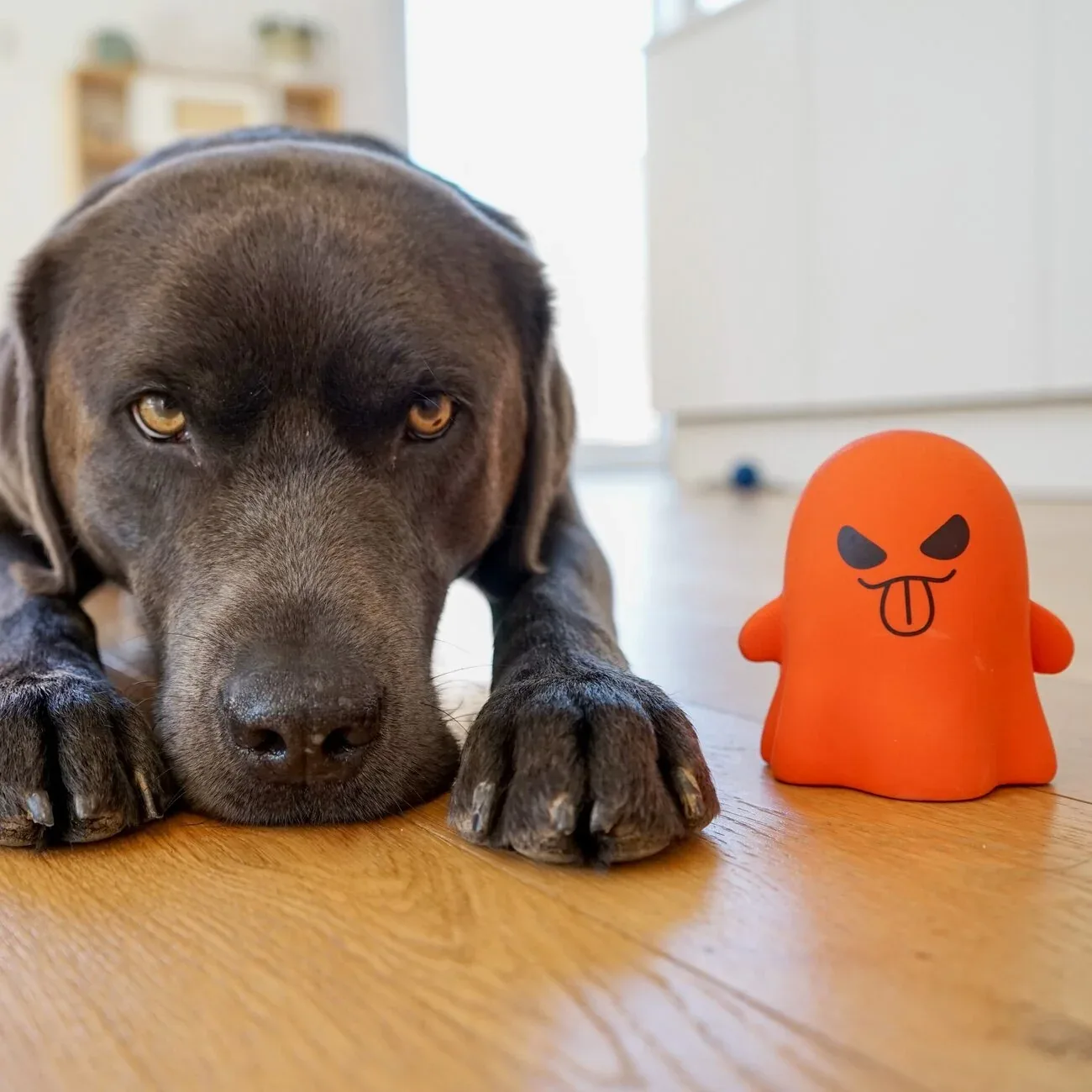 Beeztees Halloween Geist Boe Latex-Hundespielzeug mit Squeaker - Image 2