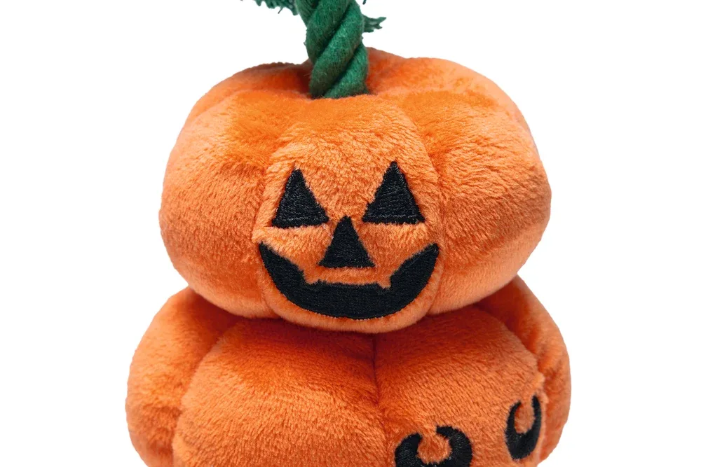 Beeztees Halloween Plüsch-Kürbis mit Seil für Hunde - Image 2