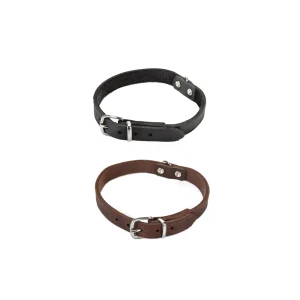 Beeztees Hundehalsband Leder